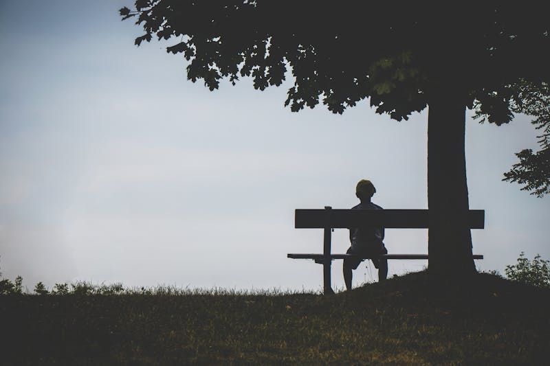 A peaceful garden bench beneath a tree, a quiet place to sit and remember