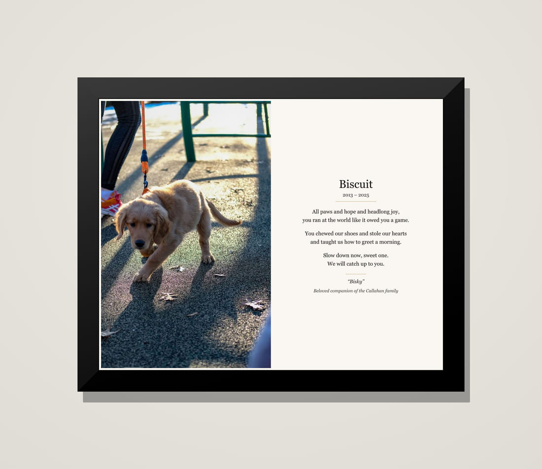 Framed memorial tribute for Biscuit, a golden retriever puppy, beside his poem