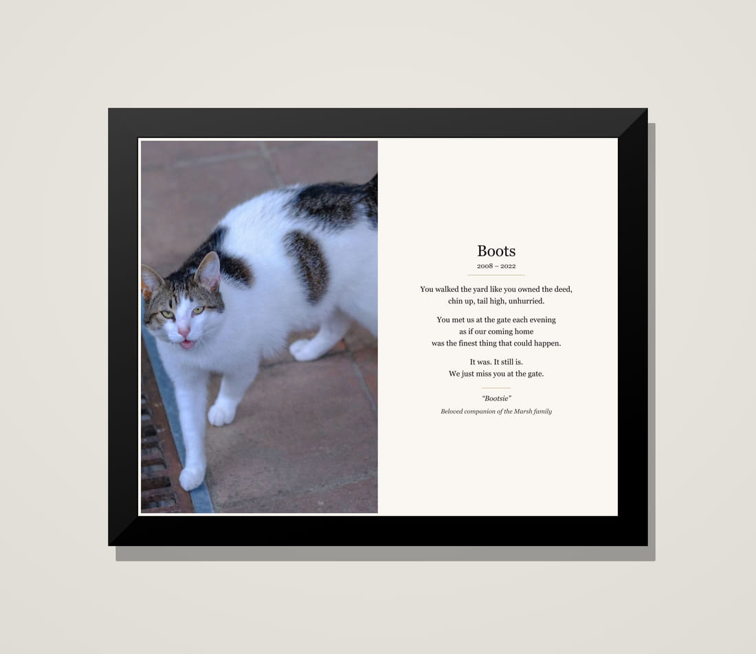 Framed memorial tribute for Boots, a cat, beside his poem