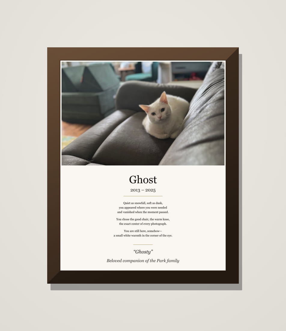 Framed memorial tribute for Ghost, a white cat, above her poem