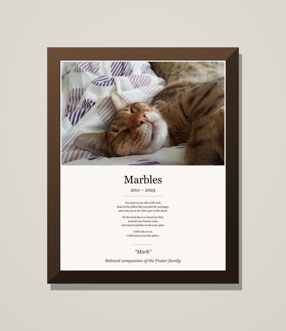 Framed memorial tribute for Marbles, a tabby cat, above his poem