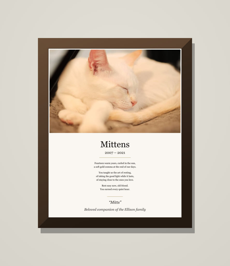 Mittens' framed tribute