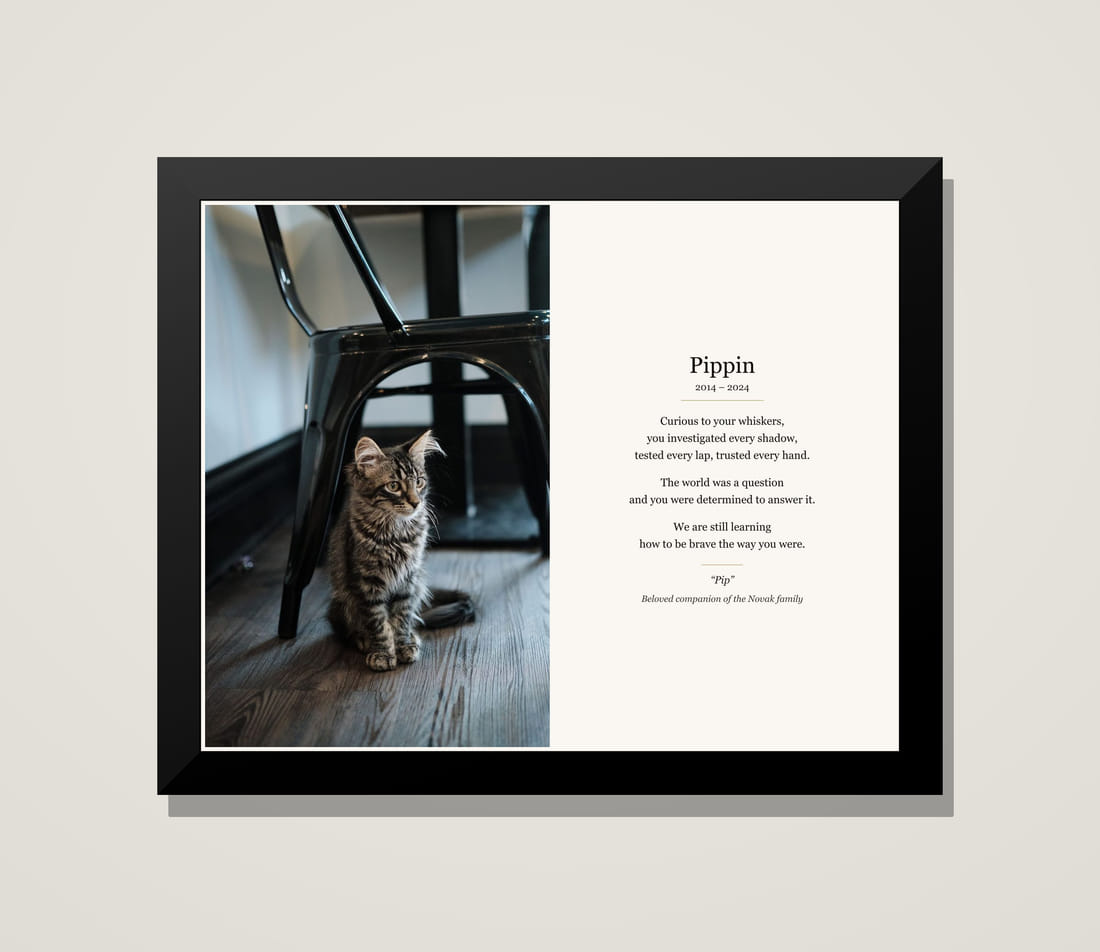 Framed memorial tribute for Pippin, a kitten, beside his poem