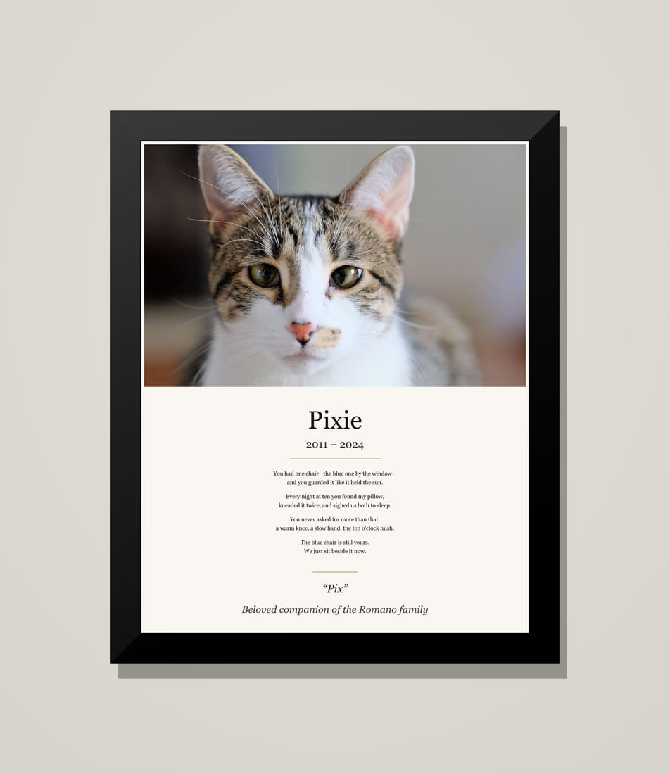 Framed memorial tribute for Pixie, a tabby-and-white cat, above her poem on cream paper