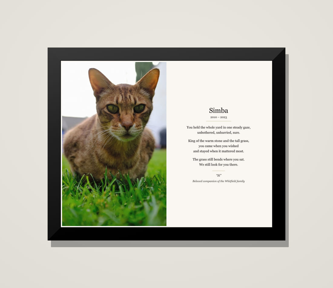 Framed memorial tribute for Simba, a cat, beside his poem