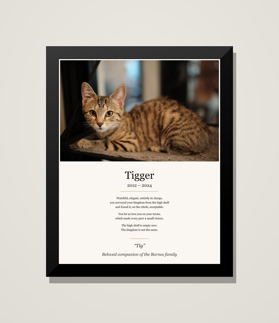Framed memorial tribute for Tigger, a tabby cat, above his poem